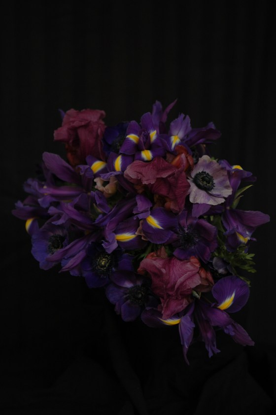 irises & anemones_13 purple