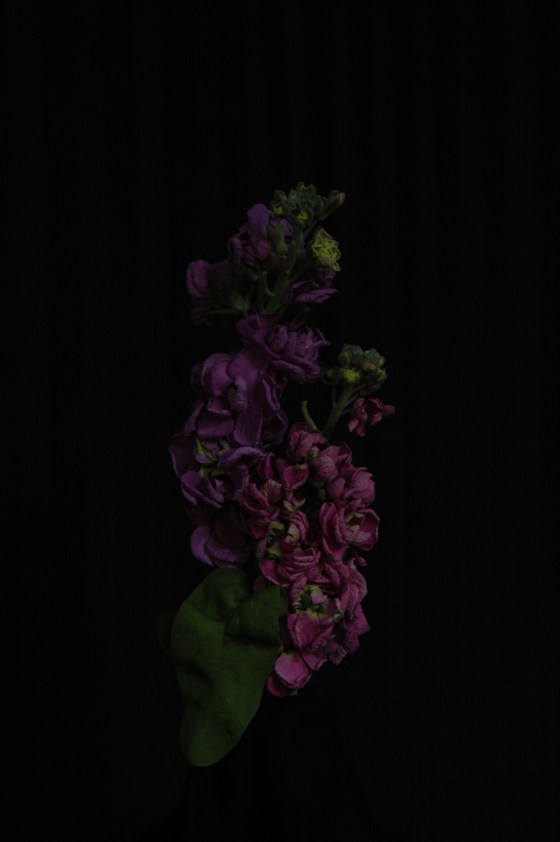 stock brompton_13 purple