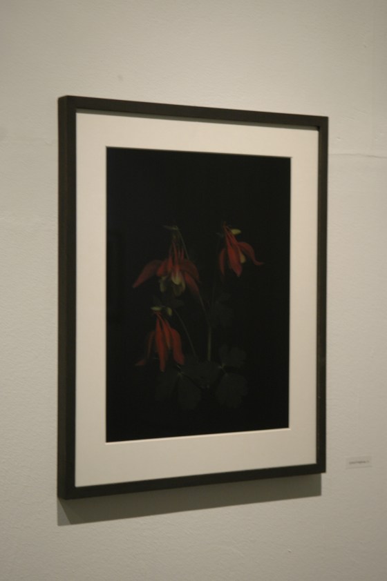 Vanities or The Impossibility of Death at gabp_cologne installation view  grannys nightcap_13