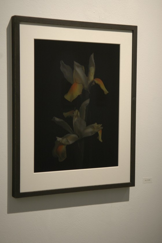 Vanities or The Impossibility of Death at gabp_cologne installation view iris_13 white