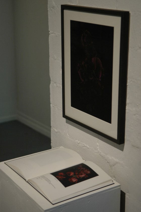 Vanities or The Impossibility of Death  at gabp_cologne installation view  the_book