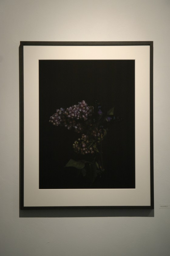 Vanities or The Impossibility of Death at gabp_cologne installation view  lilac&butterfly_2