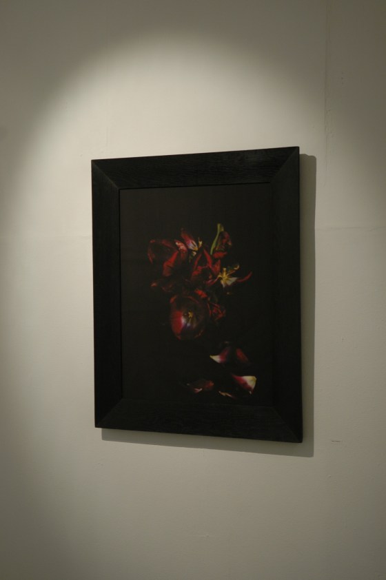 Vanities or The Impossibility of Death at gabp_cologne installation view  tulips_13 imperial